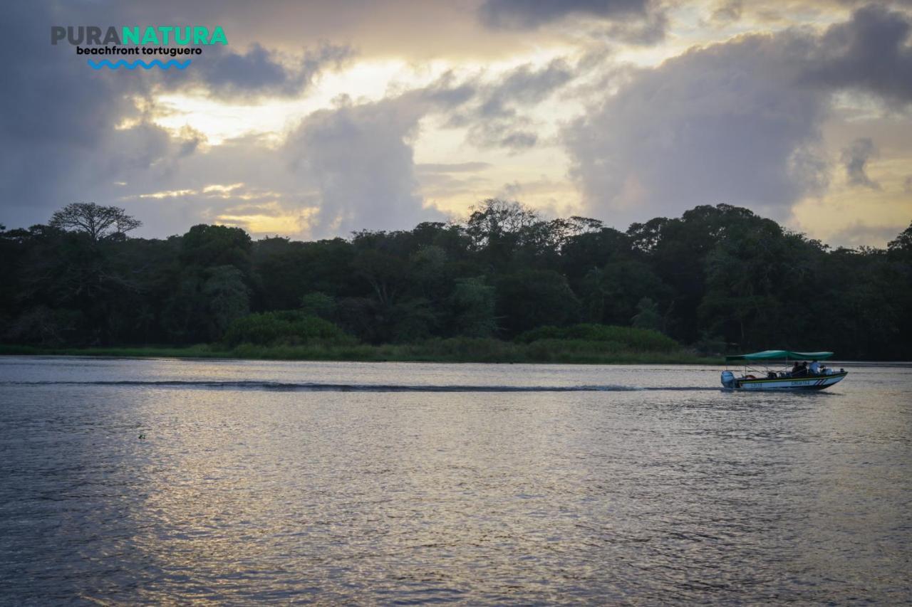 Hotel Pura Natura Beachfront Tortuguero Exterior photo