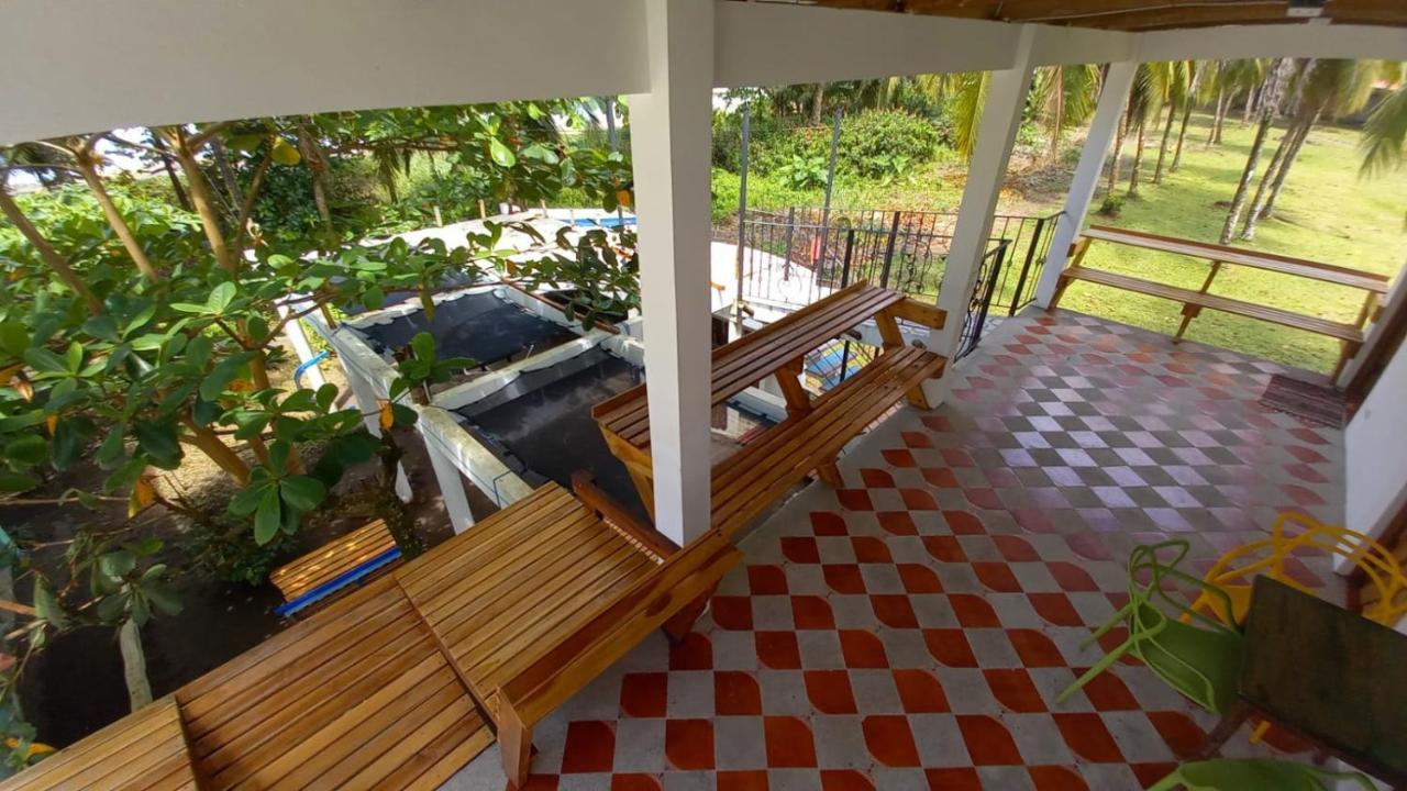 Hotel Pura Natura Beachfront Tortuguero Exterior photo